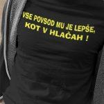 Majica - Vse povsod mu je lepše kot v hlačah — tisk na majico